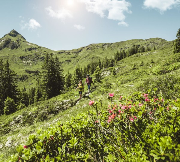 Dovolená s putování v Saalbachu-Hinterglemmu